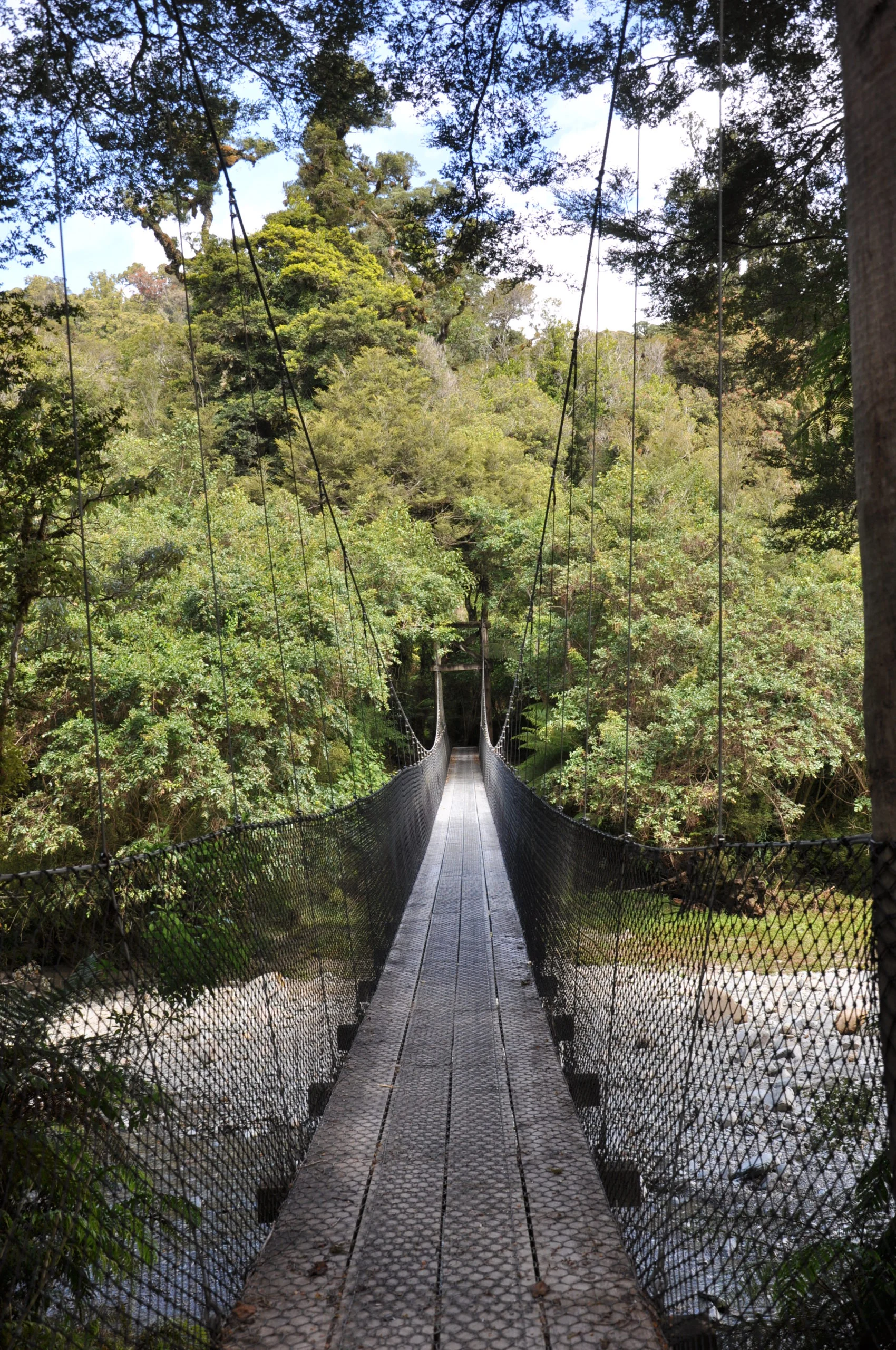Hängebrücke in grüner Umgebung, verbindet Wege und umarmt die Schönheit der Natur.